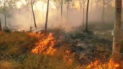 Musim Kemarau 2025, BPBD Ketapang Siaga Penuh Hadapi Ancaman Karhutla