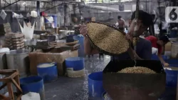 Penyaluran KUR 2025 Capai Rp131 Triliun, Pemerintah Luncurkan Skema Baru